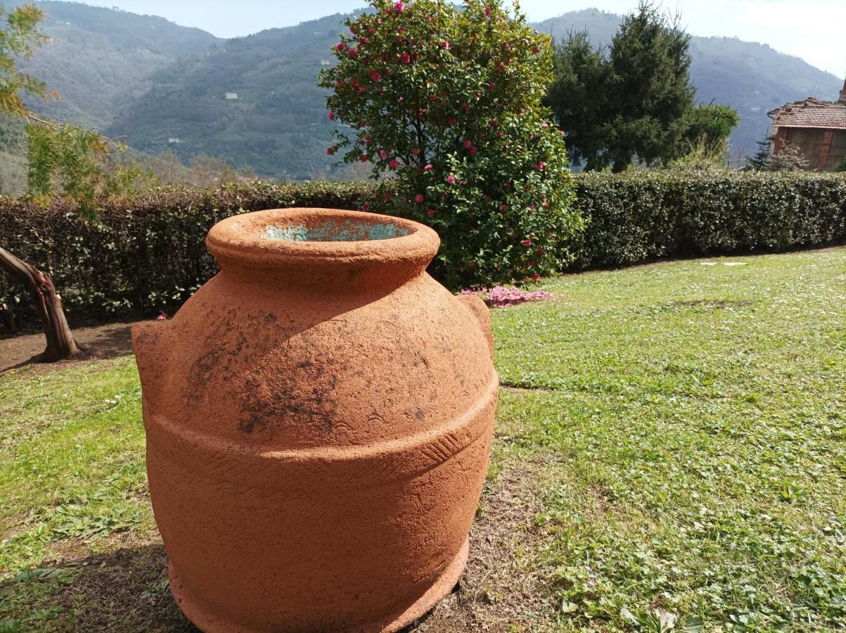 Villa Camelia Tuscany Pescia Buitenkant foto